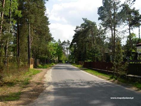 Zdjęcie panoramiczne malowniczej miejscowości Żarki Letnisko otoczonej lasami sosnowymi