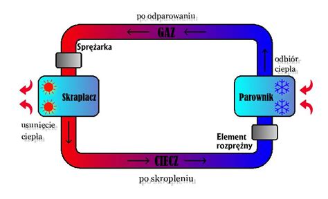 Infografika przedstawiająca obieg czynnika chłodniczego w układzie kaskadowym