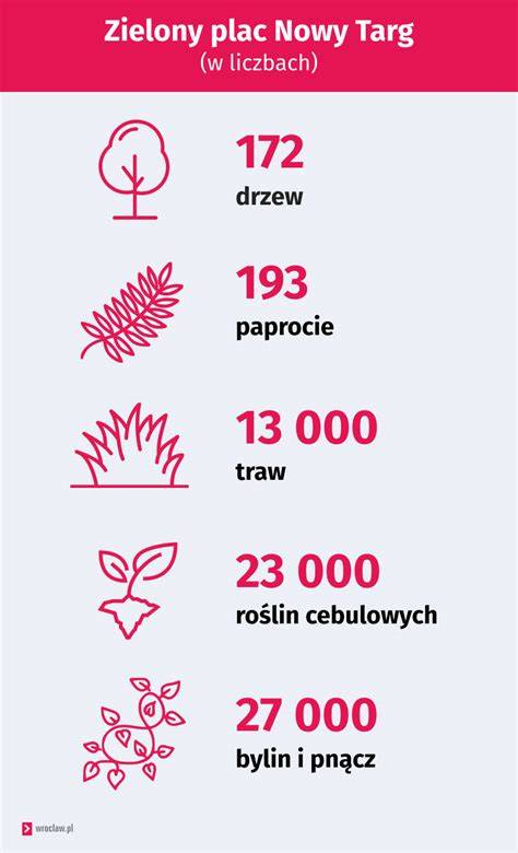 Infografika przedstawiająca liczbę spalonych budek i powierzchnię pożaru na Bazarze Różyckiego