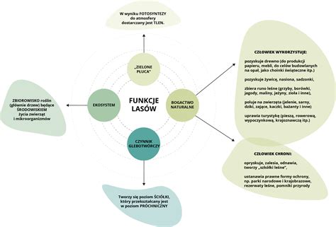 Schemat przedstawiający różne funkcje i możliwości zabawy wozem strażackim Marshalla