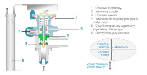 Zamarznięty zawór aparatu powietrznego - studium przypadku