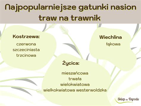 Infografika ukazująca negatywny wpływ wypalania traw na ekosystem glebowy