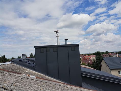 Tematyczne zdjęcie strażaka kominowego zamontowanego na dachu