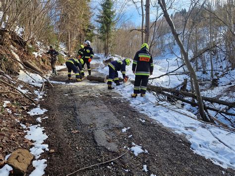 Zdjęcie przedstawiające strażaków usuwających powalone drzewo z drogi po intensywnych opadach śniegu