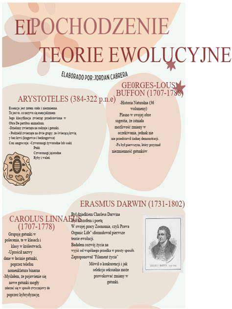 infografika: ewolucja węży strażackich