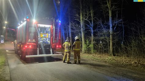 Grupa strażaków OSP w pełnym umundurowaniu, gaszących ogień w lesie