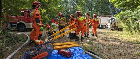Infografika przedstawiająca rodzaje akcji ratowniczych i działań prewencyjnych prowadzonych przez OSP