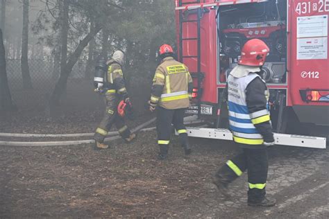 zdjęcie strażaków prowadzących akcję gaśniczą