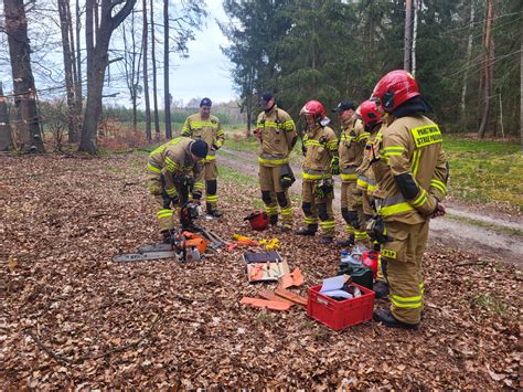 Grupa strażaków pracujących przy linii drzew, w tle widoczny dym.