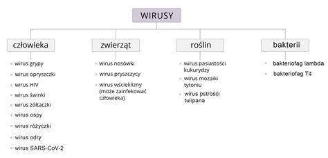 Grafika przedstawiająca wirusy odry, świnki, różyczki i ospy wietrznej