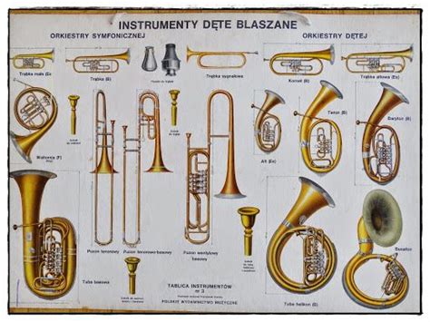 Ilustracja przedstawiająca różne instrumenty dęte blaszane.