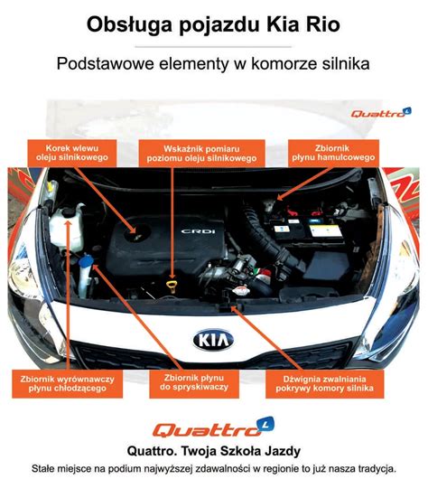 schemat wycieku oleju pod maską samochodu