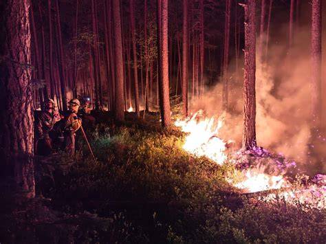 Strażacy OSP podczas akcji gaszenia pożaru lasu