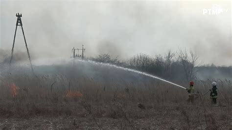 Pożar suchych traw w Suwałkach