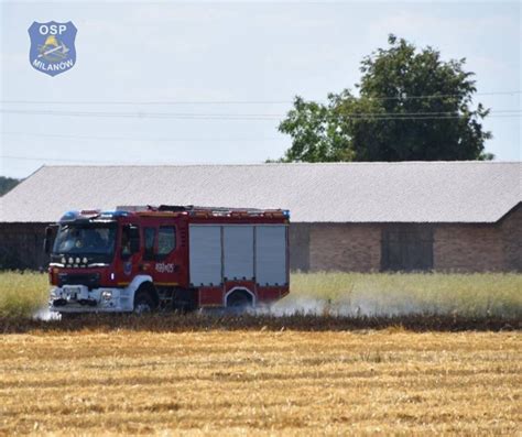 Zdjęcie strażaków gaszących pożar pola zboża
