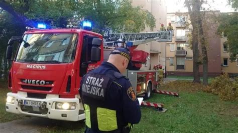 Zdjęcie ilustrujące akcję strażaków usuwających niebezpieczne drzewo