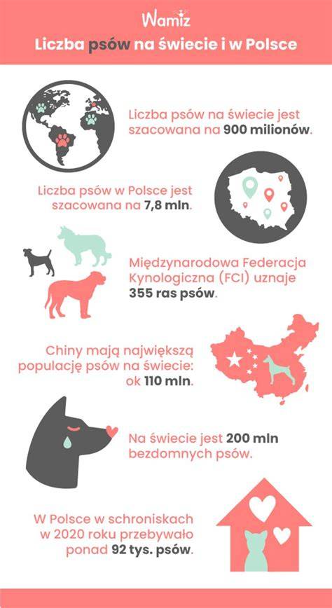 infografika porównująca skalę pożarów zabytków na świecie