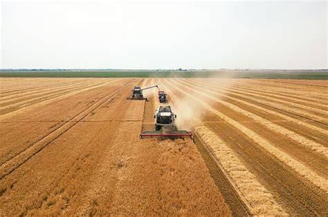 Zapalony kombajn zbożowy na polu, widok z daleka