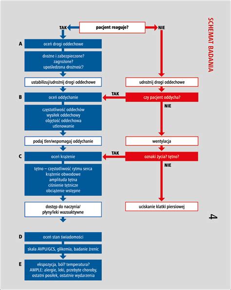 Infografika przedstawiająca rozkład wnętrza medycznego wozu ratunkowego oraz rozmieszczenie sprzętu: defibrylatora, respiratora i zestawu tlenowego
