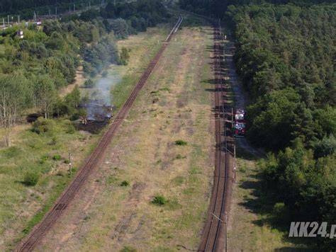 Zdjęcie suchej trawy rosnącej w pobliżu torów kolejowych