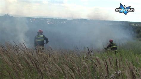 Policjanci gaszący pożar traw na łące