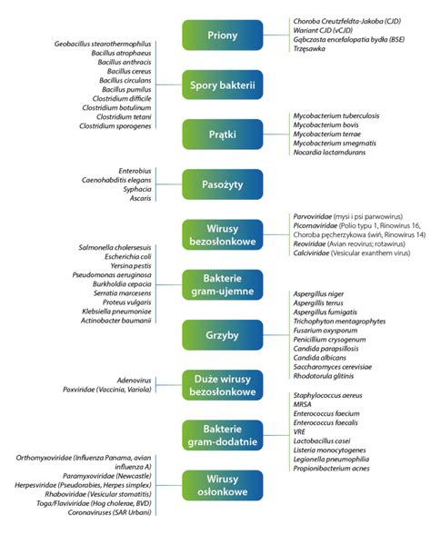 Schemat wewnętrznego układu pomieszczeń w wozie DECON, pokazujący strefy dekontaminacji