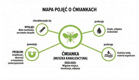 infografika przedstawiająca wygląd strzyżaka sarniego i miejsca jego występowania