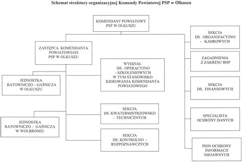 schemat ścieżek kariery w Państwowej Straży Pożarnej
