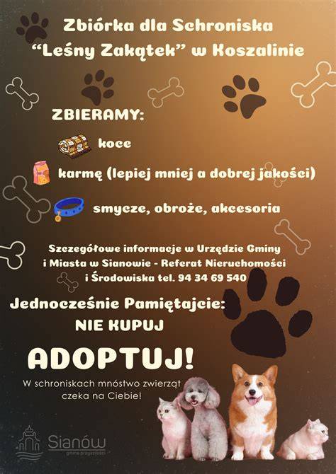 Zbiórka na rzecz pogorzelców z Jerzykowa (grafika z informacjami o zbiórce)