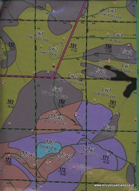 Mapa typów siedliskowych lasu z różnymi oznaczeniami kolorystycznymi siedlisk