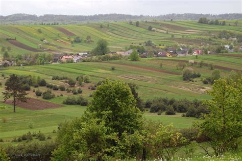 Krajobraz Wyżyny Miechowskiej z charakterystycznymi wąwozami i polami uprawnymi.