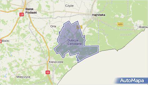 Mapa gminy Dubicze Cerkiewne z zaznaczeniem obszarów leśnych