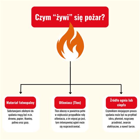 Infografika przedstawiająca najczęstsze przyczyny pożarów