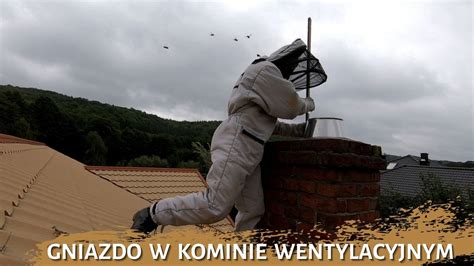 Zdjęcie przedstawiające ptasie gniazdo w kominie, jako przykład zagrożenia