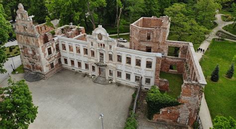 Archiwalne zdjęcie ruin pałacu w Żmigrodzie z lat 50. XX wieku