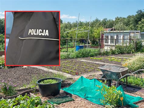 Zdjęcie z akcji gaśniczej na terenie ogródków działkowych w Borównie