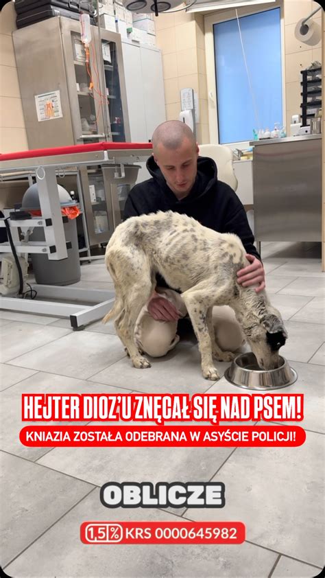 Zdjęcie zwierząt uratowanych z pożaru, przebywających w nowym, bezpiecznym miejscu