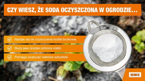 Infografika z zestawieniem domowych składników: ocet, soda, sól, cytryna.