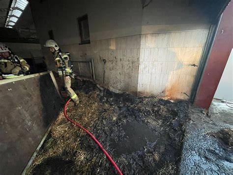 Zdjęcie przedstawiające skutki pożaru w budynku inwentarskim lub smutnego rolnika przy pogorzelisku