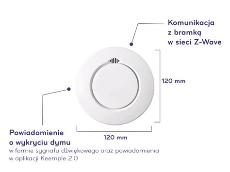 Ilustracja przedstawiająca gaśnicę, czujnik dymu i inne elementy systemu przeciwpożarowego