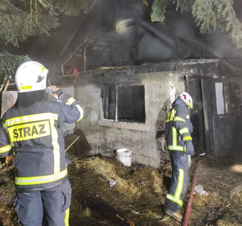 Zastępy straży pożarnej na miejscu akcji gaśniczej