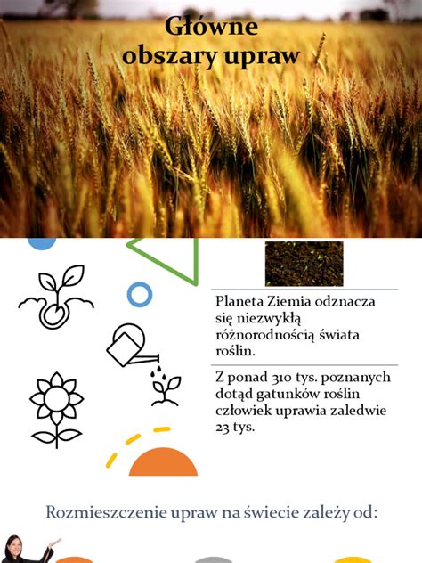 Infografika przedstawiająca główne obszary regulacji prawnych dotyczących OSP