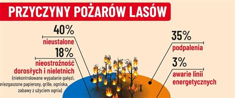 infografika przedstawiająca procentowy podział przyczyn pożarów lasów