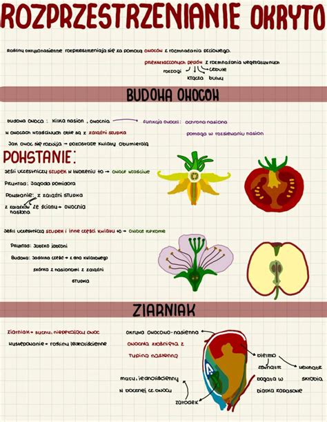Infografika przedstawiająca schemat rozprzestrzeniania się zarodnika Dragonscale i jego objawy.