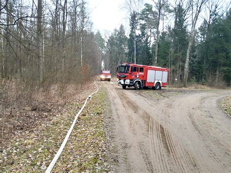Zdjęcie płonącego samochodu lub akcji gaśniczej w terenie leśnym z udziałem straży pożarnej