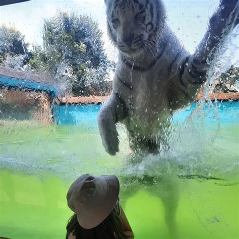 zdjęcie zniszczonego po pożarze obiektu 