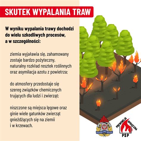 infografika o szkodliwości pożarów lasów dla środowiska