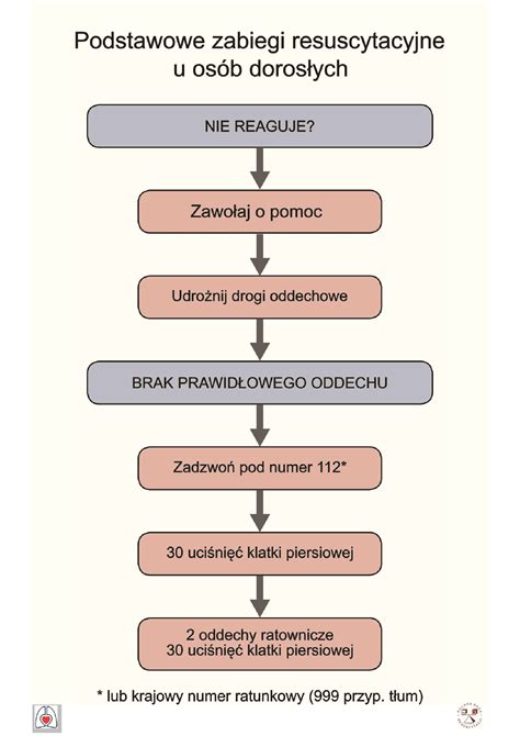 Schemat działania ratownictwa technicznego przy wypadku drogowym