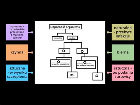 schemat przedstawiający trzy filary odporności technicznej: ciągłość działania, niezawodność, zdolność serwisowa