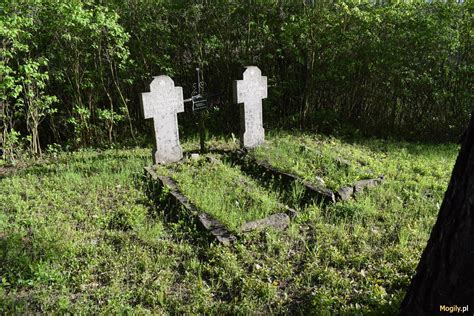Zbiorowa mogiła polskich emigrantów na cmentarzu w Montmorency